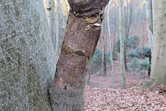 0205477157799_IMG_6874